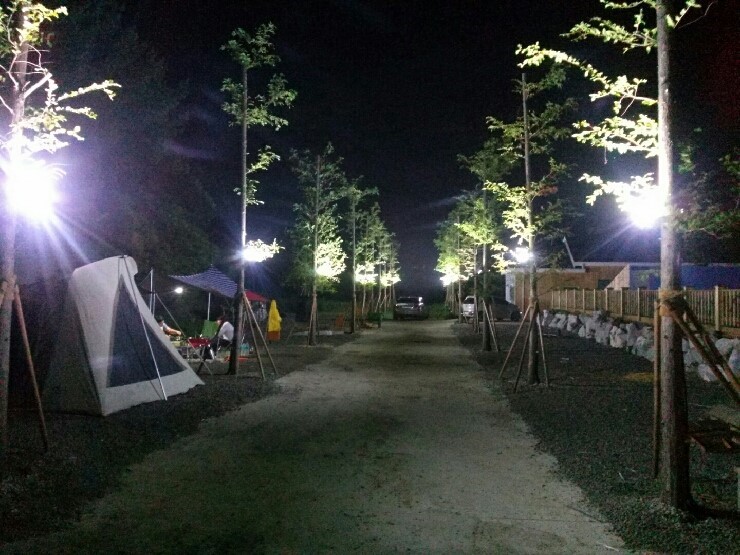 야간all.jpg